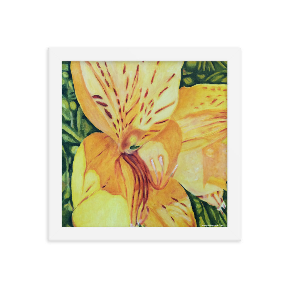 Framed Print - Yellow Alstroemeria