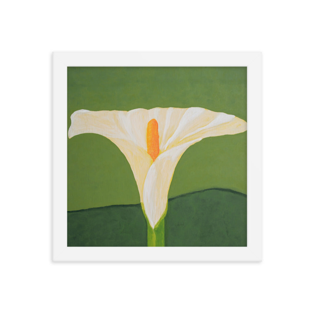 Framed Print - White calla lily on green