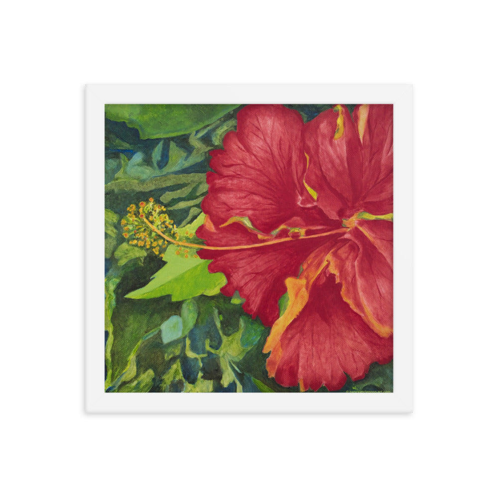 Framed Print - Deep Red Hibiscus