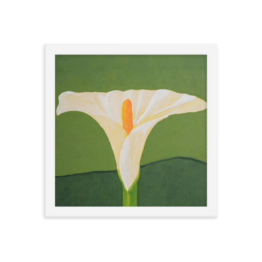 Framed Print - White calla lily on green