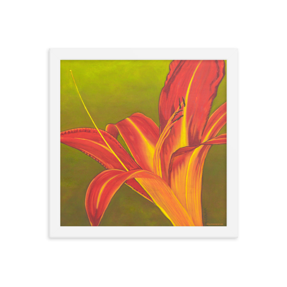 Framed print – Ruby spider daylily on green