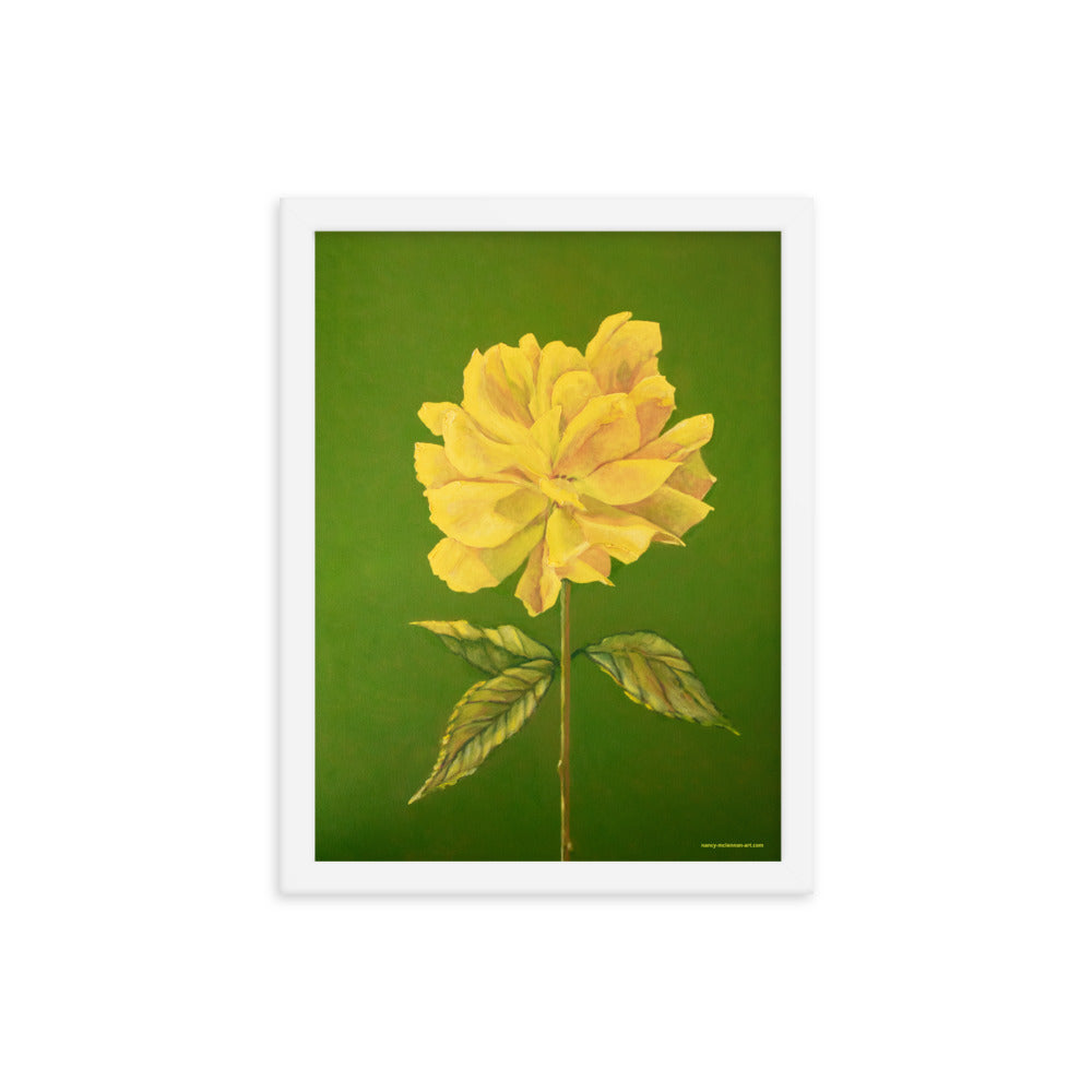 Framed print – Yellow Rose