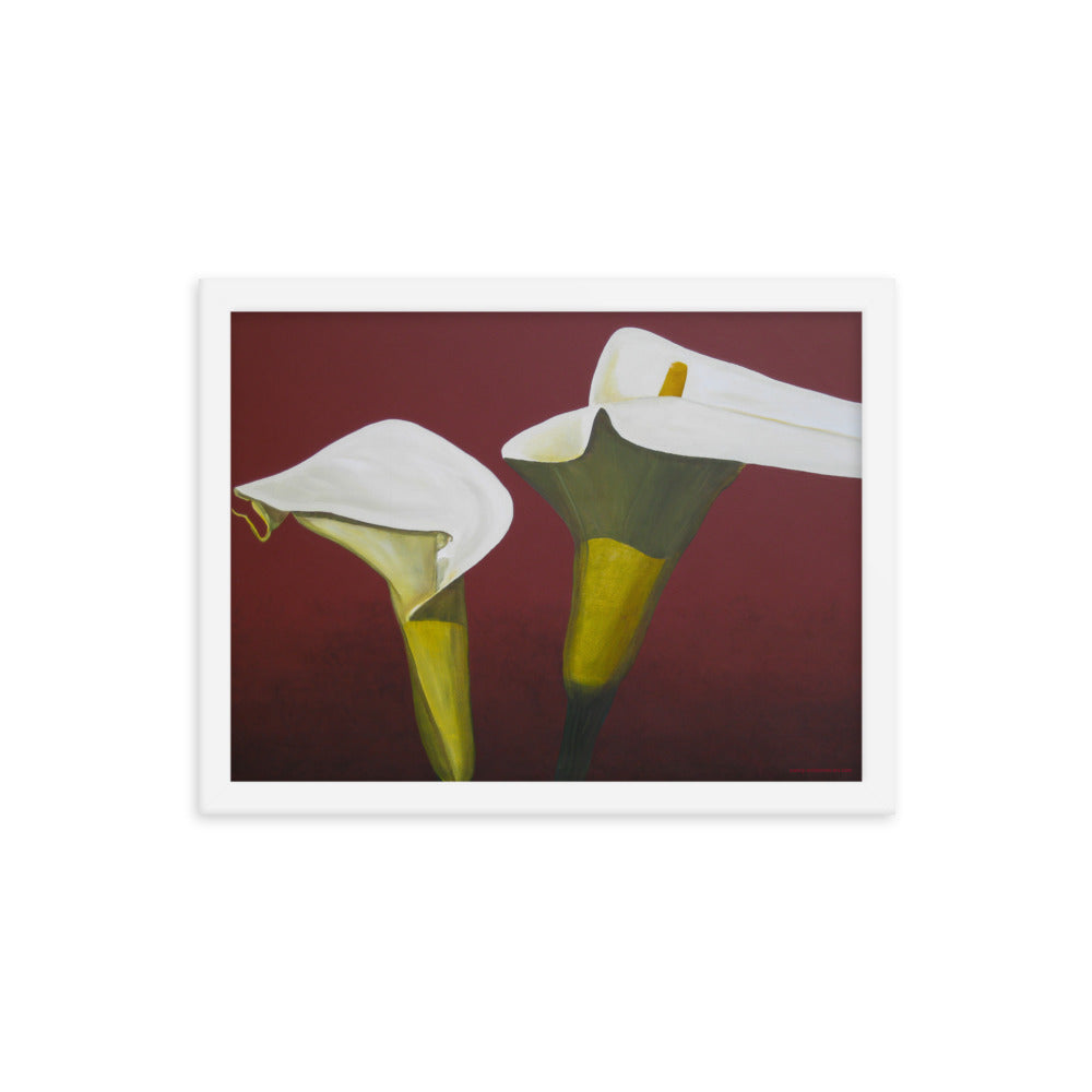 Framed Print - White Calla lilies on red