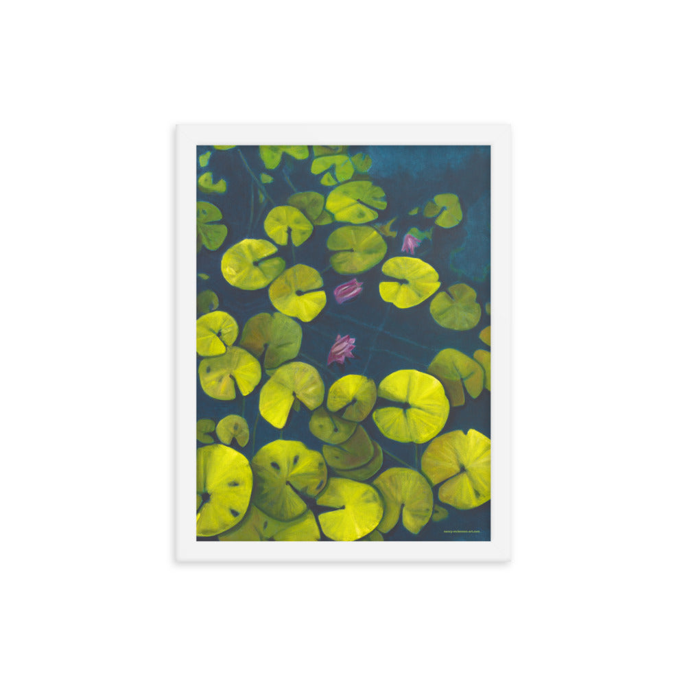 Framed Print - Waterlilies