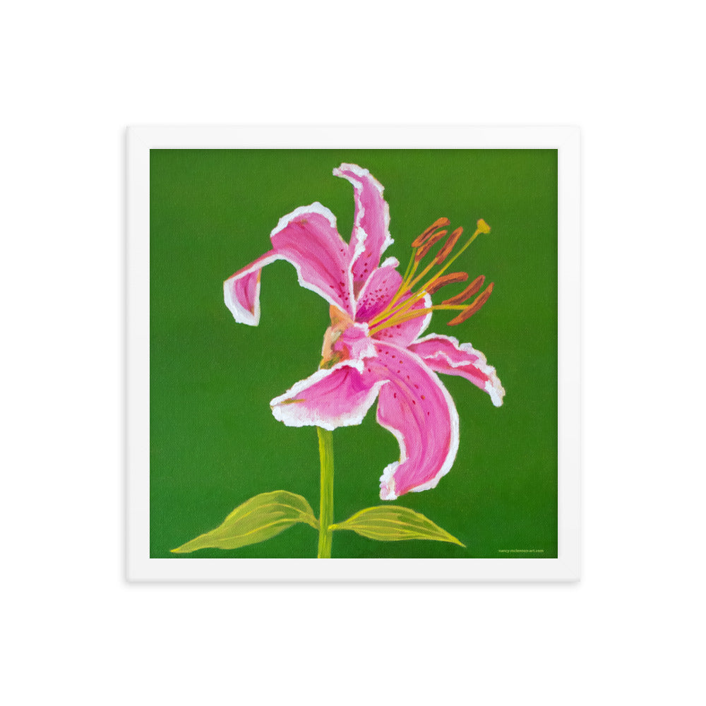 Framed print - Stargazer Lily 2