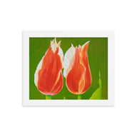 Framed Print - Two Tulips on green