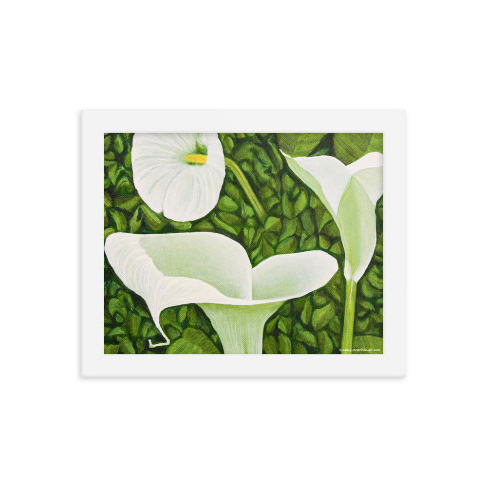 Framed Print - Creamy White Calla Lilies