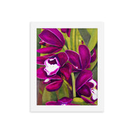 Framed Print - Dark Magenta Orchid