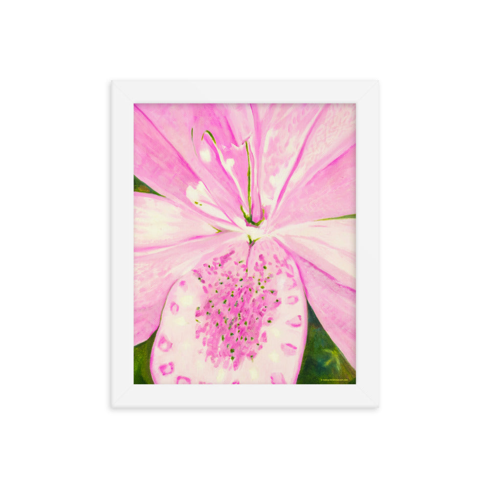 Framed Print - Light Pink Lily