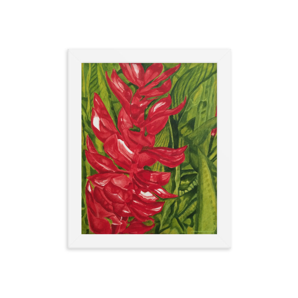 Framed Print - Red Ginger