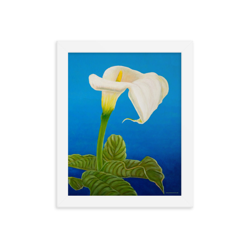 blue white calla lily Framed print