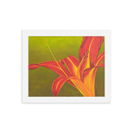 Framed print – Ruby spider daylily on green