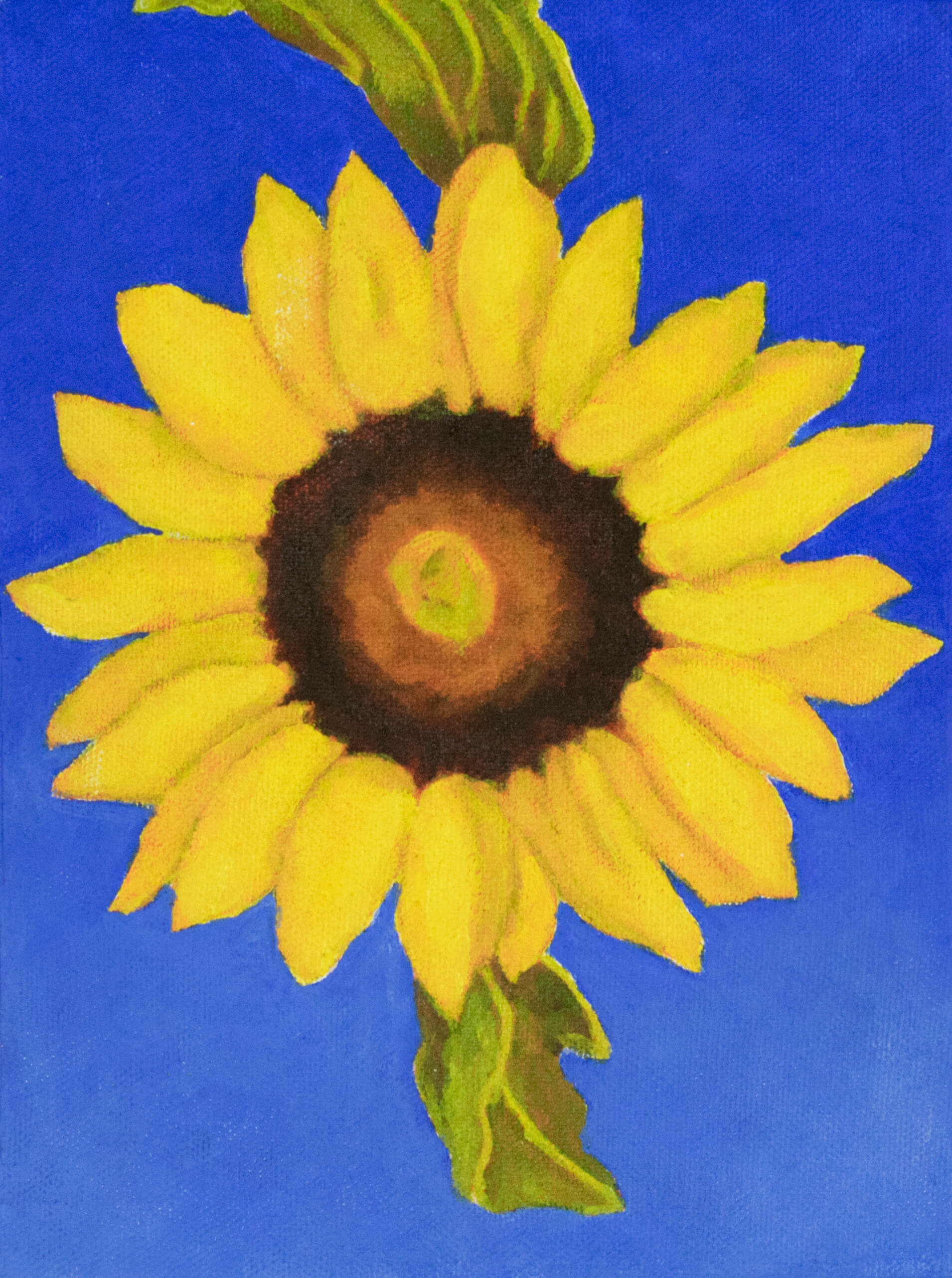 Original - Single sunflower on ultramarine blue 1- 6