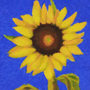 a painting by fine artist Nancy McLennon of a single yellow sunflower with brown center on an ultramarine background 