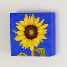 Load image into Gallery viewer, a painting by fine artist Nancy McLennon of a single yellow sunflower with brown center on an ultramarine background sideview