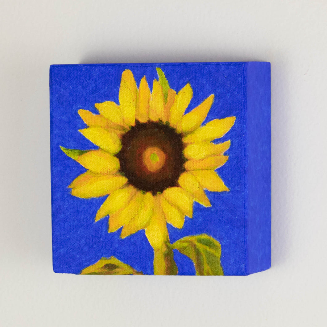 a painting by fine artist Nancy McLennon of a single yellow sunflower with brown center on an ultramarine background sideview