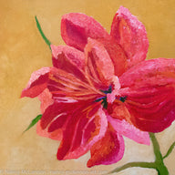 A painting by fine artist Nancy McLennon, of a single Red Barbados Amaryllis bloom on yellow ombre background