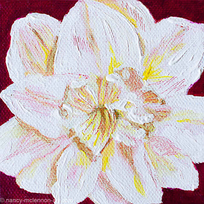 a painting by fine artist Nancy McLennon of a white amaryllis on a burgundy background