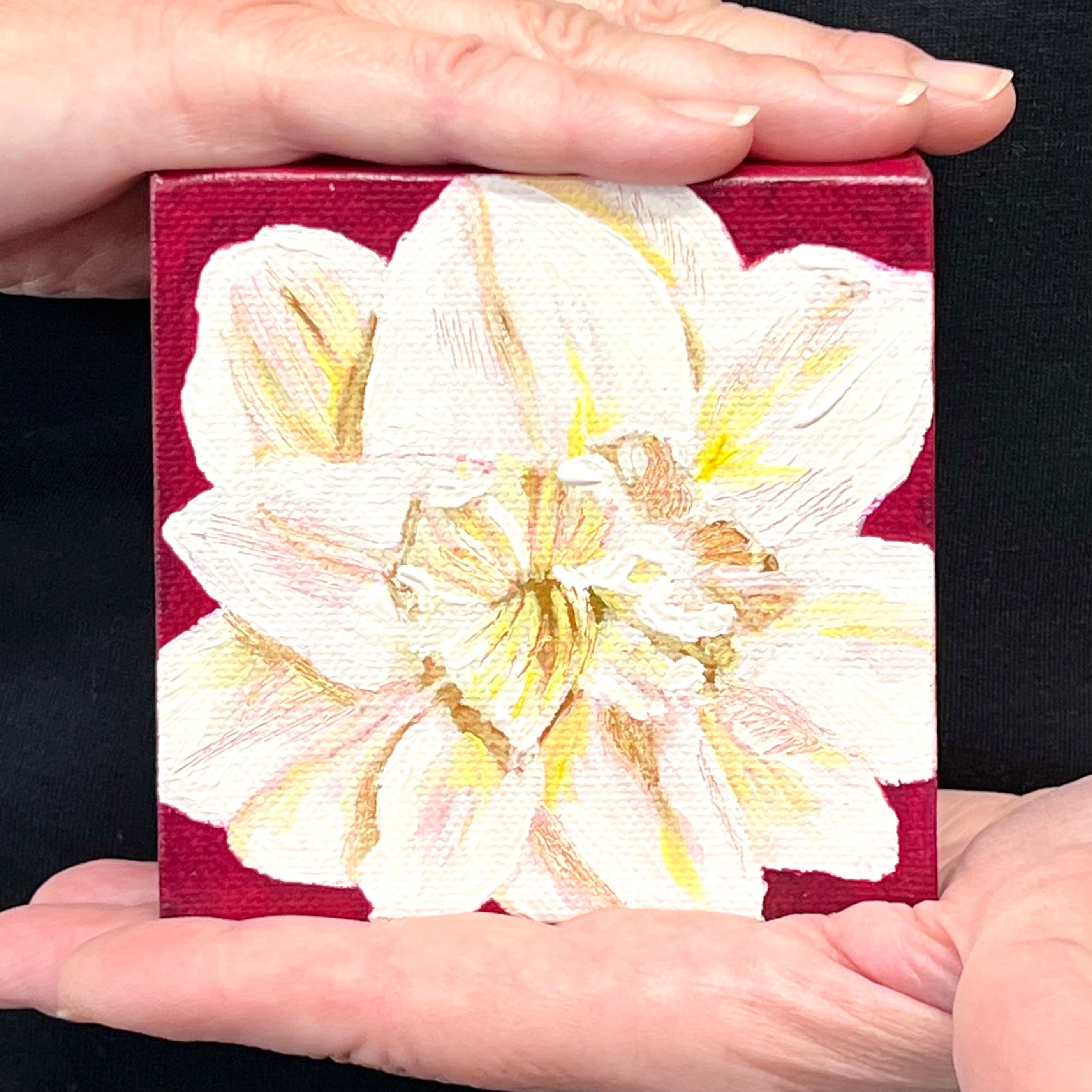 a painting by fine artist Nancy McLennon of a white amaryllis on a burgundy background being held by artist