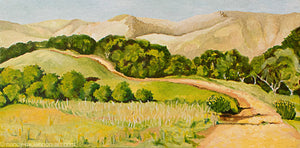 Original - Lucas Valley, CA trail in fall - 8"H x 16"w x 5/8"D