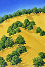 Load image into Gallery viewer, Original - Lake Berryessa Hills 2 - 36&quot;h x 24&quot;W x 5/8&quot;D