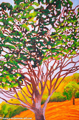 Original - Our Live Oak tree at Sunset 1 - 16