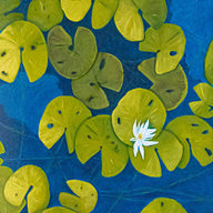 A painting, by fine artist Nancy McLennon, of a deep blue & aqua blue pond with floating golden yellow lily pads and white flower blooms