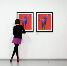 Load image into Gallery viewer, Two Purple Calla Lilies in full bloom with a red backdrop paintings in an art gallery with patron viewing