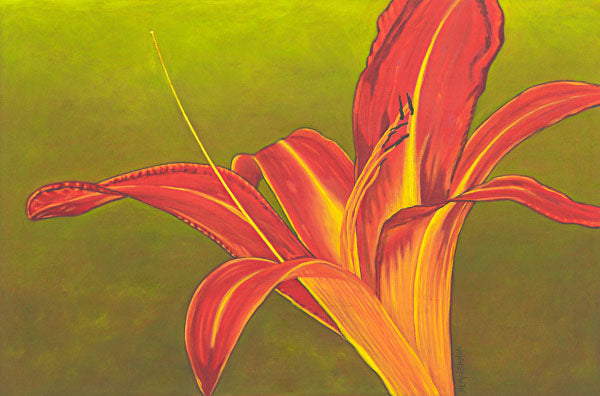 painting by Nancy McLennon orange and yellow ruby spider daylily bloom  on bright green