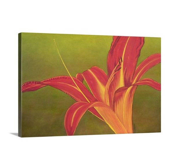 A side view of a painting by fine artist Nancy McLennon, of a single Ruby Spider day lily on green background