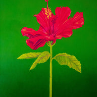 A painting, by fine artist Nancy McLennon, of a single Tall Hibiscus Rosa-Sinensis on green background