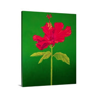 A side view of a painting by fine artist Nancy McLennon, of a single Tall Hibiscus Rosa-Sinensis on green background 