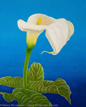 Load image into Gallery viewer, A painting, by fine artist Nancy McLennon, of a single White calla lily on blue background