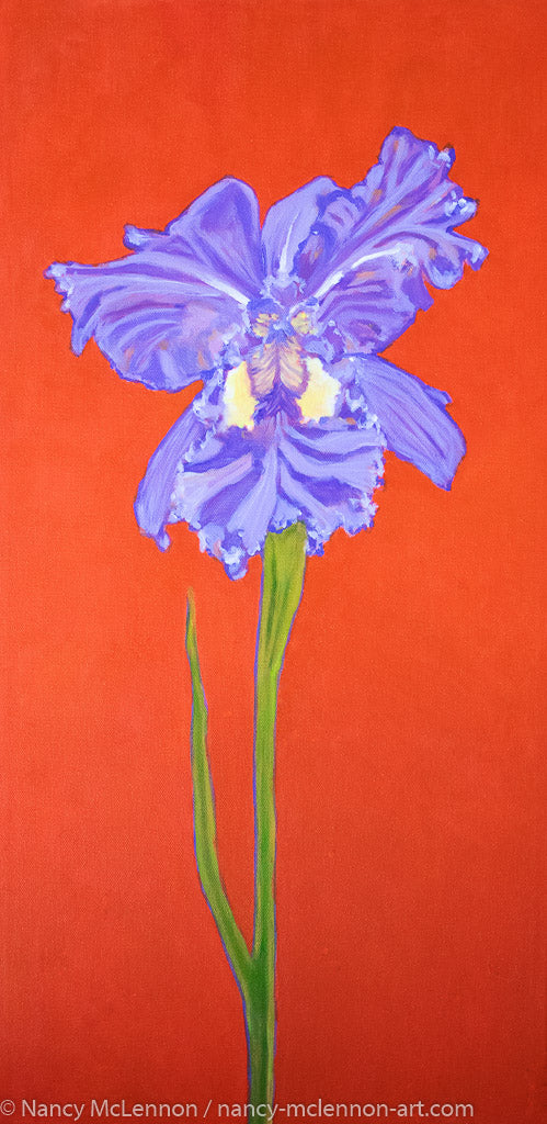 A painting, by fine artist Nancy McLennon, of a single Iris in full bloom on red background