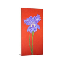 Load image into Gallery viewer, A side view of a painting by fine artist Nancy McLennon, of a single Iris in full bloom on red background